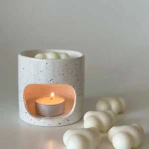Plum Wax melts