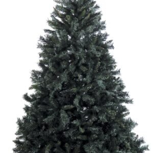 Χριστουγεννιάτικο Δέντρο Καυκασος 210(h)cm